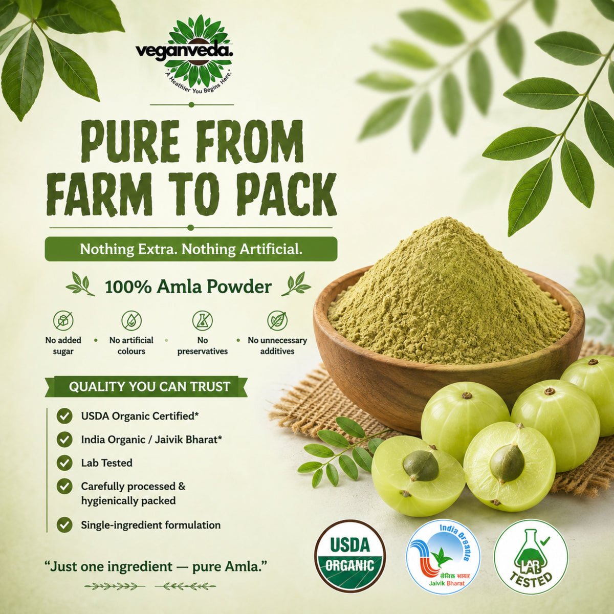 Amla powder For Hair Growth & Immunity Rich in vitamin C Boost Collagen | 200gm